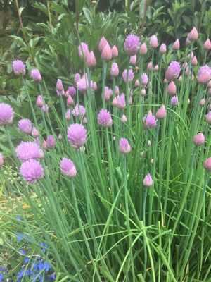 Photo 25- click for photo gallery